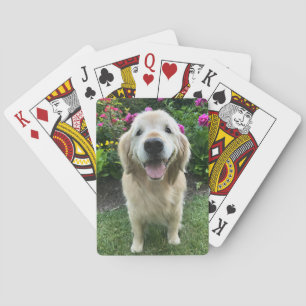 Jeu De Cartes Un chien qui sourit d'or et qui trie avec de jolie