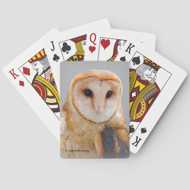 Jeu De Cartes Un chou de grange serein et magnifique (dos)