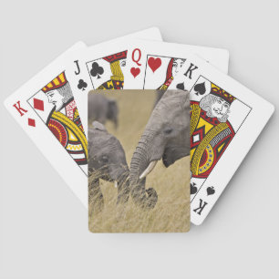 Jeu De Cartes Un éléphant africain paissant dans les champs