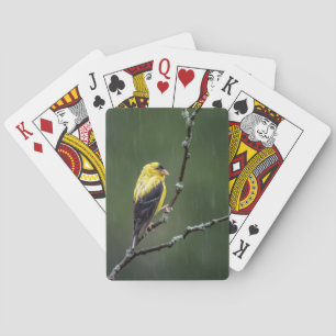 Jeu De Cartes Un Goldfinch malheureux