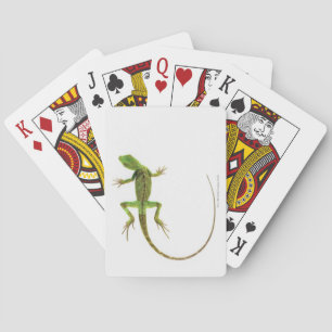 Jeu De Cartes Un lézard sur fond blanc