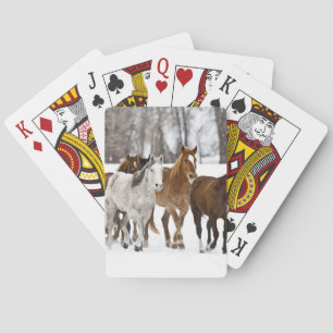 Jeu De Cartes Un paysage hivernal de course