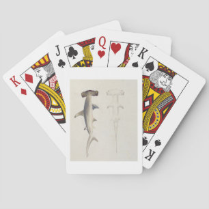 Jeu De Cartes Un requin à tête de marteau, Loheia, anciennement