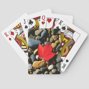 Jeu De Cartes Une feuille d'érable sur un fond de roche