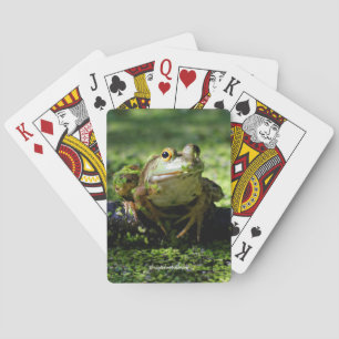 Jeu De Cartes Une jolie grenouille verte frappe un pot sur le tu