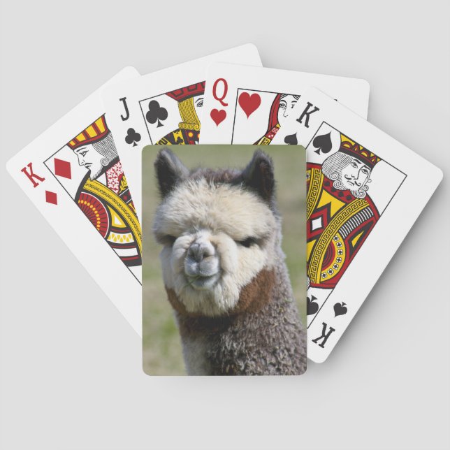Jeu De Cartes Up Close Grey Alpaca Playing Cards (dos)