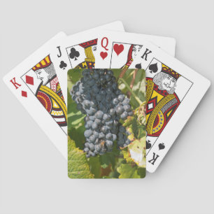 Jeu De Cartes Uruguay, Montevideo, zone de Colon. Caves