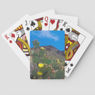 Jeu De Cartes USA, Arizona. Cactus In The Hills