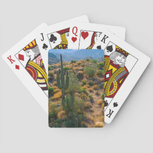 Jeu De Cartes USA, Arizona. Vue du désert