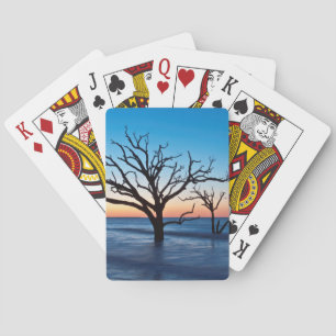 Jeu De Cartes USA, Caroline du Sud, Edisto Island, Botany Bay