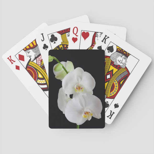 Jeu De Cartes USA, Géorgie, Savannah, Cluster D'Orchidées (dos)