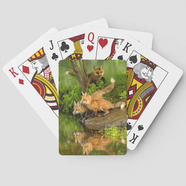 Jeu De Cartes USA, Minnesota, Sandstone, Minnesota Wildlife (dos)