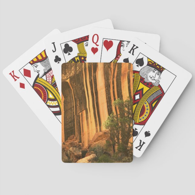 Jeu De Cartes USA, Utah, Parc national du Capitol Reef (dos)
