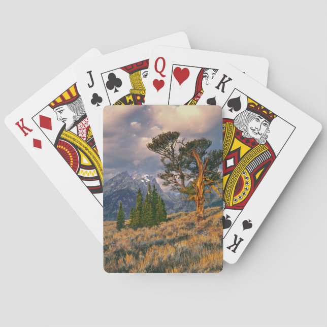 Jeu De Cartes USA, Wyoming, Grand Teton NP. Sunrise accueille un (dos)