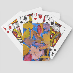 Jeu De Cartes Utah, zone de loisirs national de Glen Canyon 2
