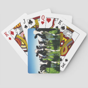 Jeu De Cartes Vaches dans le domaine, ville de Betsukai,