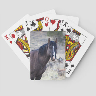 Jeu De Cartes Valeur