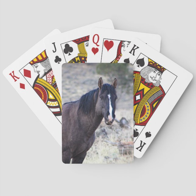 Jeu De Cartes Valeur (dos)