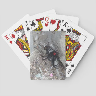 Jeu De Cartes Vélo noir veuve Jouer des cartes