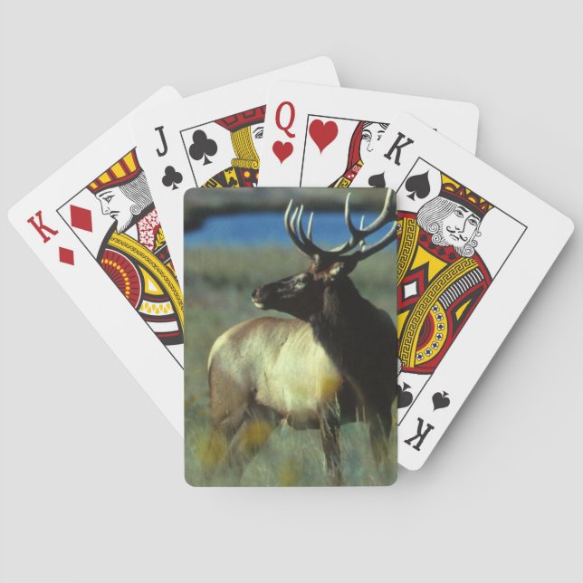 Jeu De Cartes Vélos Elk Jouer aux cartes (dos)