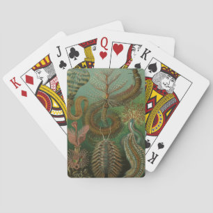 Jeu De Cartes Vers vintages Annelids Chaetopoda par Ernst Haecke