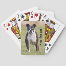 Vieille règle de chiens de boxeur