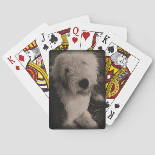 Jeu De Cartes Vieux chien de berger anglais vintage