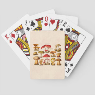 Jeu De Cartes Vintage années 1800 Variété de champignons Champig