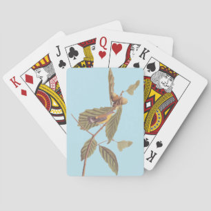 Jeu De Cartes Vintage Audubon Magnolia Paruline Oiseau