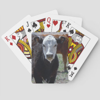 Jeu De Cartes Visage noir et blanc de jeune vache occidental