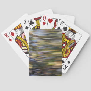 Jeu De Cartes Vitesse