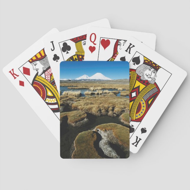 Jeu De Cartes Volcan de Payachalas (dos)