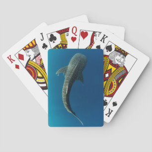 Jeu De Cartes Vue de dessus d'un requin baleine