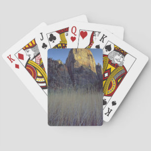Jeu De Cartes Vue depuis la plaine inondable de la rivière Virgi