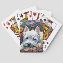 Westie jouer aux cartes