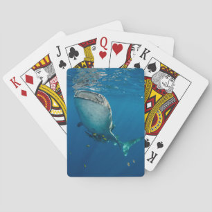 Jeu De Cartes Whale Shark and Fish
