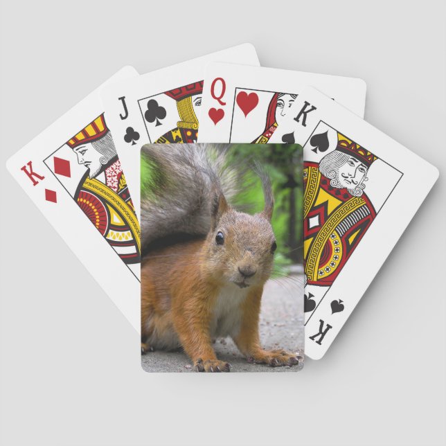 Jeu De Cartes Whatcha Got ? (dos)