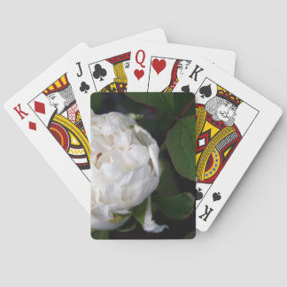 Jeu De Cartes White Peony - Photographie florale -