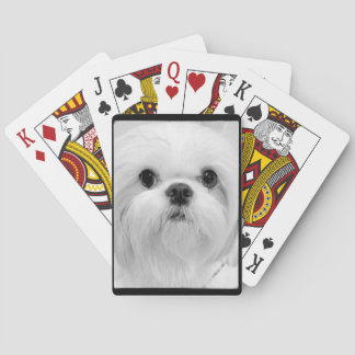 Jeu De Cartes White Shih Tzu Jouer Des Cartes