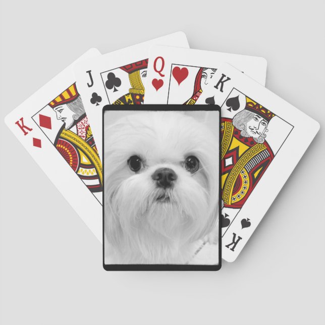 Jeu De Cartes White Shih Tzu Jouer Des Cartes (dos)