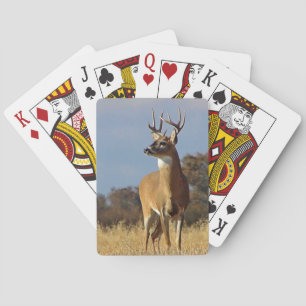Jeu De Cartes Whitetail Buck