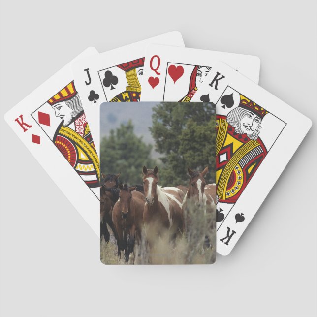Jeu De Cartes Wild Mustang Horses 2 (dos)