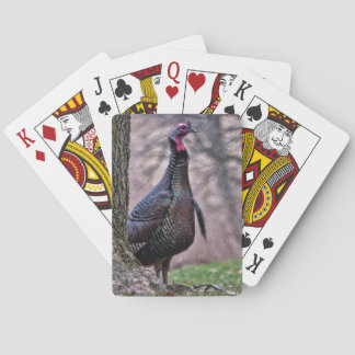 Jeu De Cartes Wild Tom Turquie Jouer Des Cartes