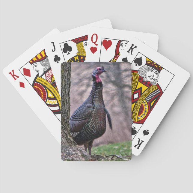 Jeu De Cartes Wild Tom Turquie Jouer Des Cartes (dos)