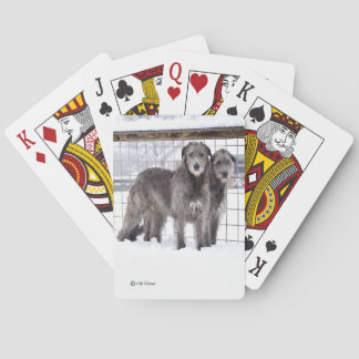 Jeu De Cartes Wolfhounds irlandais classique de neige