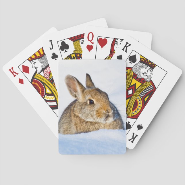 Jeu De Cartes Wyoming, Comté de Sublette, Cottontail de Nuttall (dos)