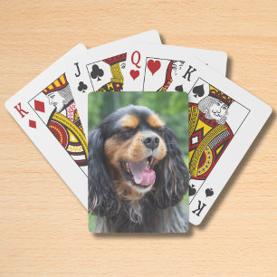 Jeu De Cartes Yawning Cavalier King Charles Spaniel