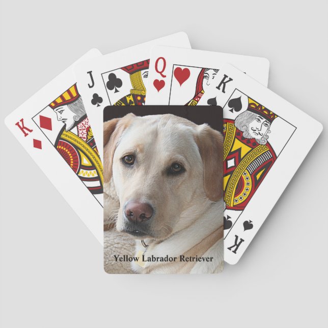 Jeu De Cartes Yellow Labrador Retriever (dos)