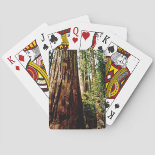 Jeu De Cartes Yosemite séquoia