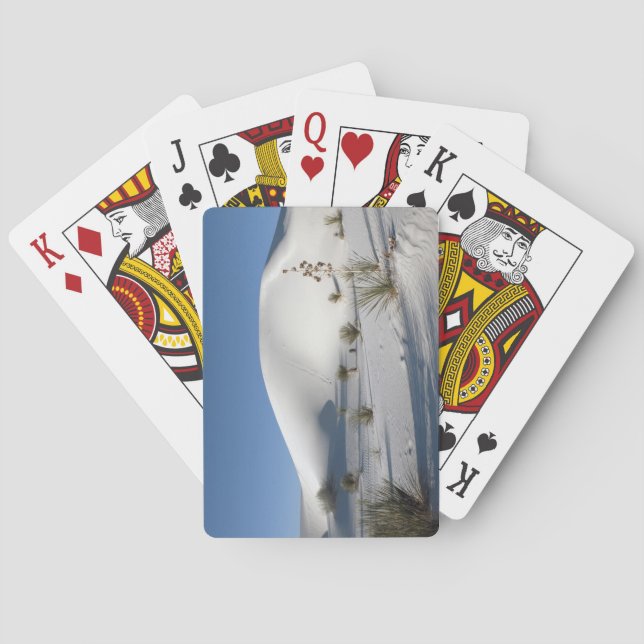 Jeu De Cartes Yucca (dos)